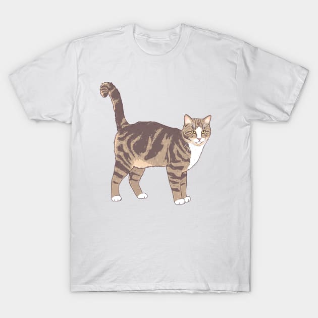 Brown and White Tabby Cat T-Shirt by Csieben